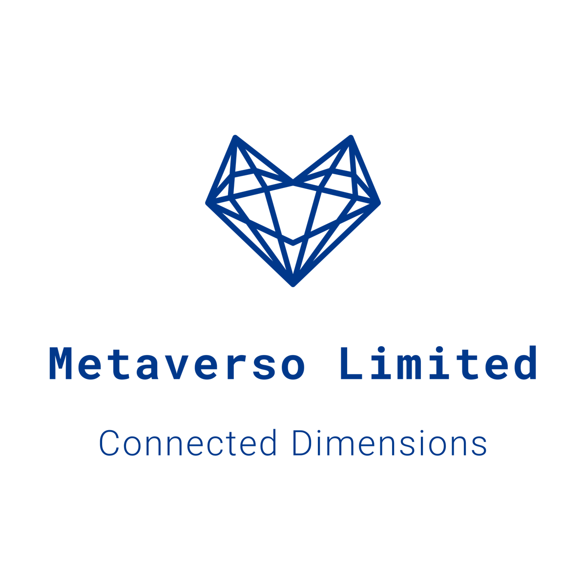 Metaverso International LTD